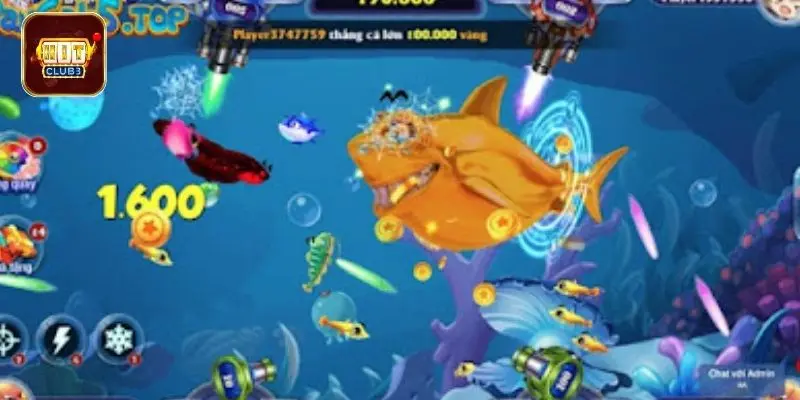 Xác định giá trị các loài cá khi săn